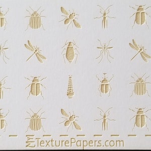 May include: A white card with a repeating pattern of embossed insects and other small designs. The card is labeled "TexturePapers.com" and "Design 100132".