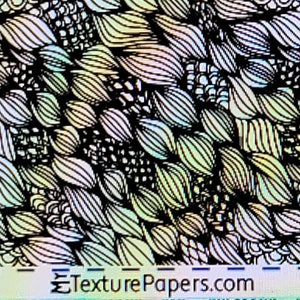 May include: Black and white abstract pattern with a rainbow iridescent sheen. The pattern is made up of overlapping, curved lines that resemble leaves or feathers. The design is called "Design 100416" and is from TexturePapers.com.
