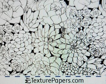 100436  7.5x2.5 Succulent Garden Rolling Mill Laser Texture