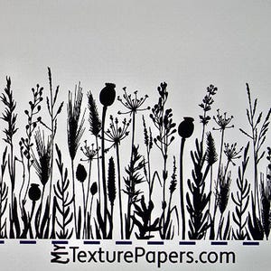 Op de afbeelding: Zwart-witte silhouet van een rij hoge grassen en wilde bloemen. Het ontwerp is ongeveer 5 cm breed en bevat de tekst "TexturePapers.com" en "Design T00584".