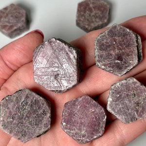 May include: A collection of seven pink ruby crystals, each with a hexagonal shape and a rough, natural finish.