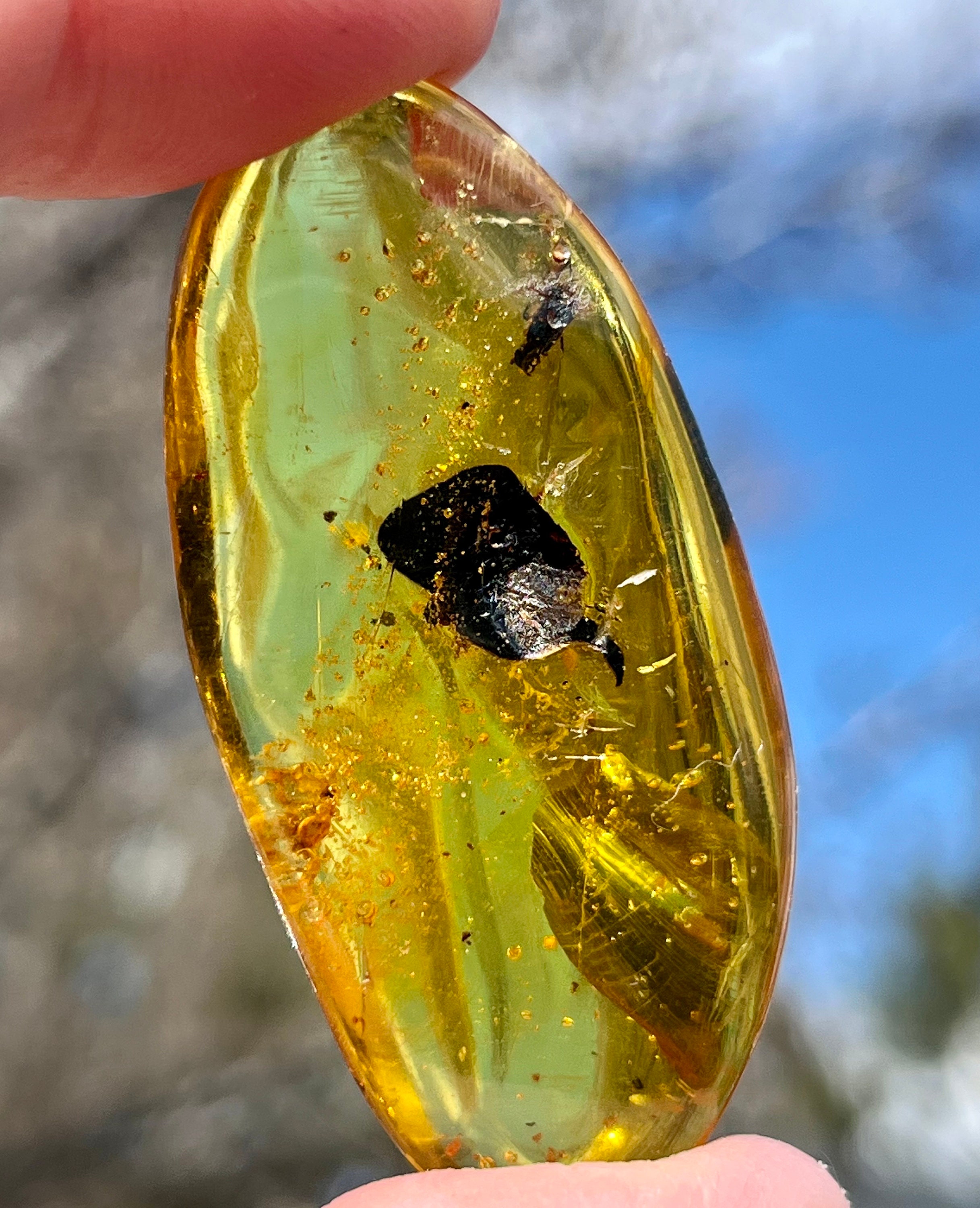 Exploring the Geology and Formation of Amber: From Tree Resin to Precious  Gemstone