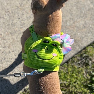 Puede incluir: Un perro marr&oacute;n con un arn&eacute;s verde en forma de rana con un lazo arco&iacute;ris. El arn&eacute;s tiene un dise&ntilde;o de malla y una cara de rana sonriente.