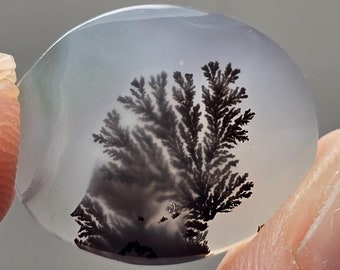 Dendritic Agate Gemstone: Unique Tree Scene, May Birthstone, black friday, blackfriday