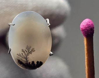 Tiny Dendritic Agate Gemstone: Natural Scenic Stone, black friday, blackfriday