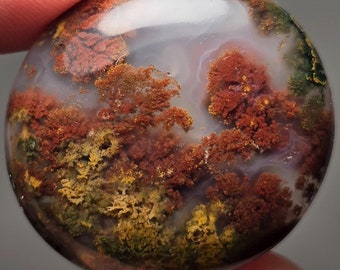 May include: A polished agate sphere with a unique, swirling pattern of red, orange, yellow, and green dendrites. The agate is translucent, allowing light to pass through it.