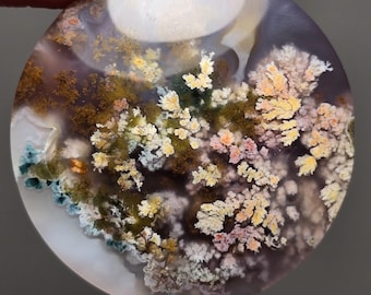 Puede incluir: Una piedra de ágata redonda y pulida con un patrón único y colorido. La piedra presenta una variedad de colores, incluyendo blanco, gris, marrón, amarillo, naranja y verde. El patrón se asemeja a un paisaje con árboles y flores.