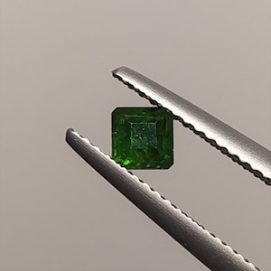 Demantoid Garnet - Natural -Asscher Cut