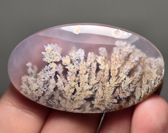 May include: An oval-shaped, translucent gemstone with a light pink hue. The stone features intricate, tree-like inclusions in shades of cream, beige, and hints of yellow. The inclusions create a natural, organic pattern within the polished surface.