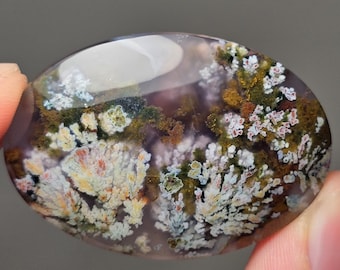 May include: A polished oval cabochon of moss agate with a dendritic pattern in shades of green, white, brown, and purple.