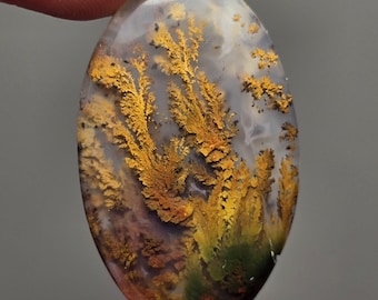 Peut inclure: Un cabochon ovale poli en agate avec des inclusions dendritiques. L'agate est translucide avec une base blanche et présente un motif tourbillonnant de dendrites dorées.