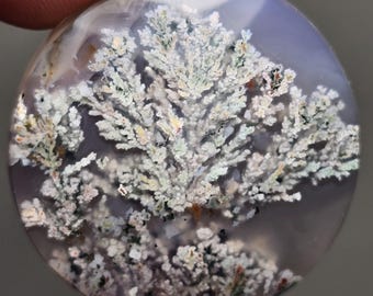 May include: A round, translucent agate cabochon with a dendritic pattern in shades of white, green, and brown. The dendritic pattern resembles a tree or a fern.