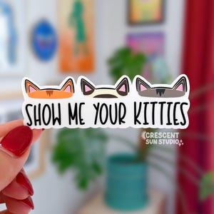 Show Me Your Kitties Sticker, Funny Vet Tech Water Bottle Sticker, Cat Lover Laptop Decal, Gift for Cat Mom or Cat Dad, Animal Shelter Decal image 1