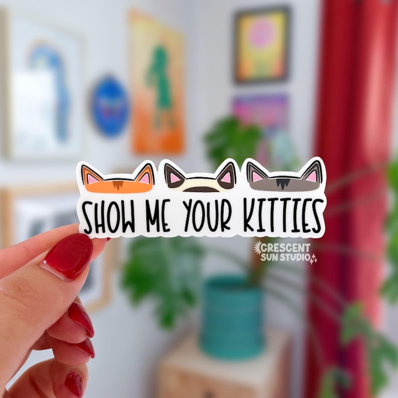 Show Me Your Kitties Sticker, Funny Vet Tech Water Bottle Sticker, Cat Lover Laptop Decal, Gift for Cat Mom or Cat Dad, Animal Shelter Decal image 1