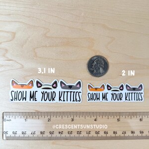 Show Me Your Kitties Sticker, Funny Vet Tech Water Bottle Sticker, Cat Lover Laptop Decal, Gift for Cat Mom or Cat Dad, Animal Shelter Decal image 2