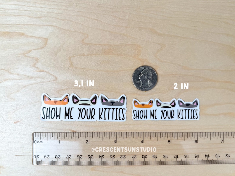 Show Me Your Kitties Sticker, Funny Vet Tech Water Bottle Sticker, Cat Lover Laptop Decal, Gift for Cat Mom or Cat Dad, Animal Shelter Decal image 2