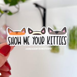 Show Me Your Kitties Sticker, Funny Vet Tech Water Bottle Sticker, Cat Lover Laptop Decal, Gift for Cat Mom or Cat Dad, Animal Shelter Decal