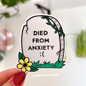 Died From Anxiety Sticker, Sarcastic Water Bottle Decal, Funny Mental Health Laptop Sticker, Millennial Gift, Gen Z Gift, Anxiety Humor