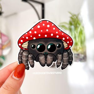 Bold Jumping Spider Sticker, Mushroom Spider Water Bottle Sticker, Kawaii Spider Laptop Decal, Cottagecore Sticker, Spider Lover Gift