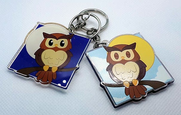 Sleeping and Awake Owl Acrylic Keychain Double-Sided 2 inches