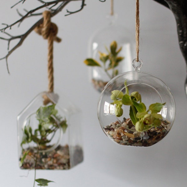 Terrarium en verre - Bol suspendu globe - Jardinière en verre (bol uniquement)