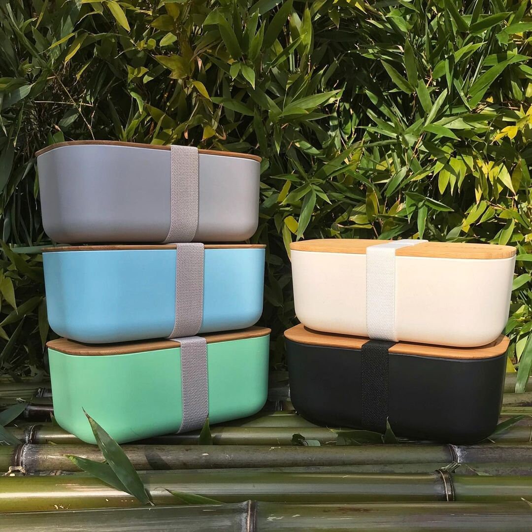 Stainless Steel & Bamboo Eco-Friendly Lunchboxes – Wondrwood