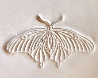 Può includere: Un'intagliatura a rilievo color crema di una falena. Le ali della falena sono spiegate, mostrando intricati motivi venosi. L'intaglio è posto su uno sfondo strutturato color crema, evidenziando i delicati dettagli dell'insetto.