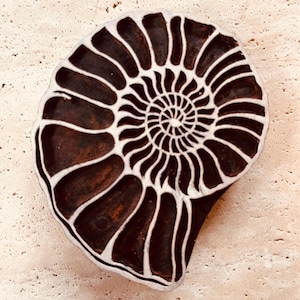 Puede incluir: Fósil de amonita marrón y blanco con un patrón en espiral. El fósil es de color marrón oscuro con líneas blancas que crean un diseño en espiral. El fósil está sobre una superficie beige claro.