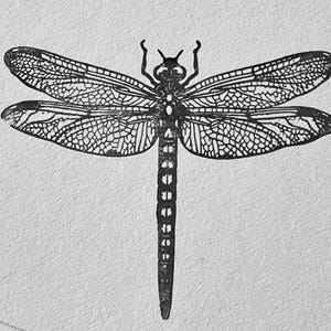 Pode incluir: Ilustração detalhada em preto e branco de uma libélula. As asas da libélula são intrincadamente padronizadas com linhas e formas delicadas. O corpo do inseto é segmentado e suas antenas são levantadas. A imagem está em um fundo texturizado esbranquiçado.