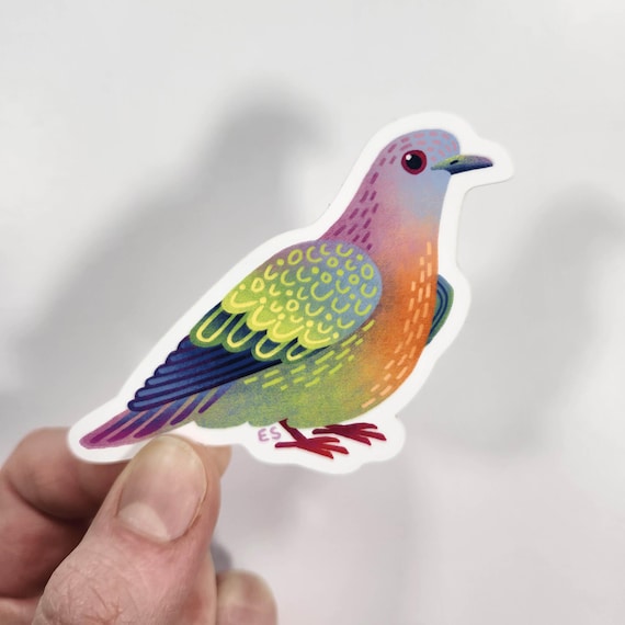 Pink-Necked Green Pigeon Sticker – Dove Waterproof Vinyl Decal – Wildlife Birdwatching Gift – Rainbow Tropical Bird
