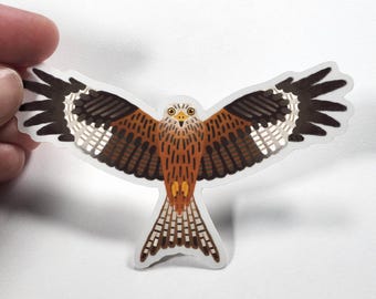 Red Kite Sticker – Hawk Vinyl Decal – Bird of Prey Raptor – Wildlife Birdwatching Gift
