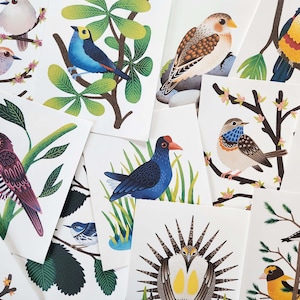 Birbfest Bird Art Prints – Whimsical 8x10 Bird Illustrations – Cute Animal Wall Art for Nature Lovers – Gift for Bird Enthusiasts