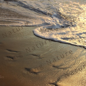 Footprints in the Sand | Beach Photograph | Sunrise Photo | Golden Sand | White Foamy Waves