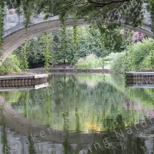 Glorious Gardens | Reflection Pond | Botanical Garden | Looking Glass Pond | Wall Art | Home Decor