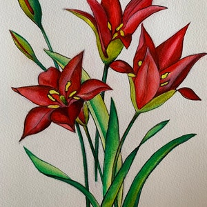 TULIPA SPRENGRI: 12" X 9" bellissimo dipinto acrilico del meraviglioso fiore di tulipano di Sprenger