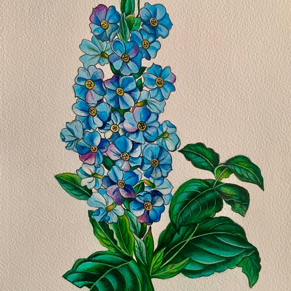 Blooming Blues: 12 "X 9" schöne Acrylmalerei des Xeranthemum Strictum. Colebr/ Neel Vasooka Blume