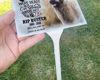 Cartello Per Cane Cane Corso, Palo Commemorativo Personalizzato - Foto 2