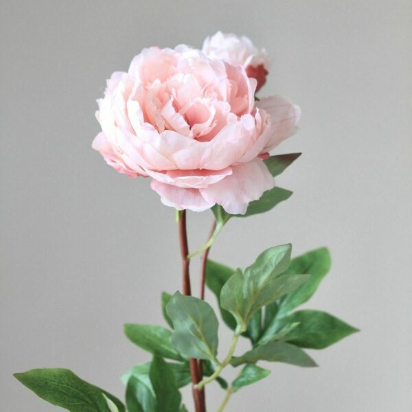 Faux Peonies Etsy UK