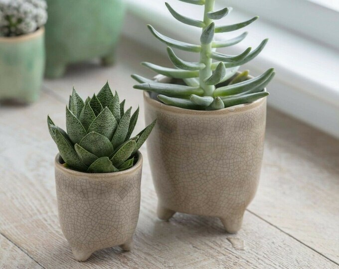 Footed Planter With Feet Legs Air Plant Holder Cactus Etsy UK