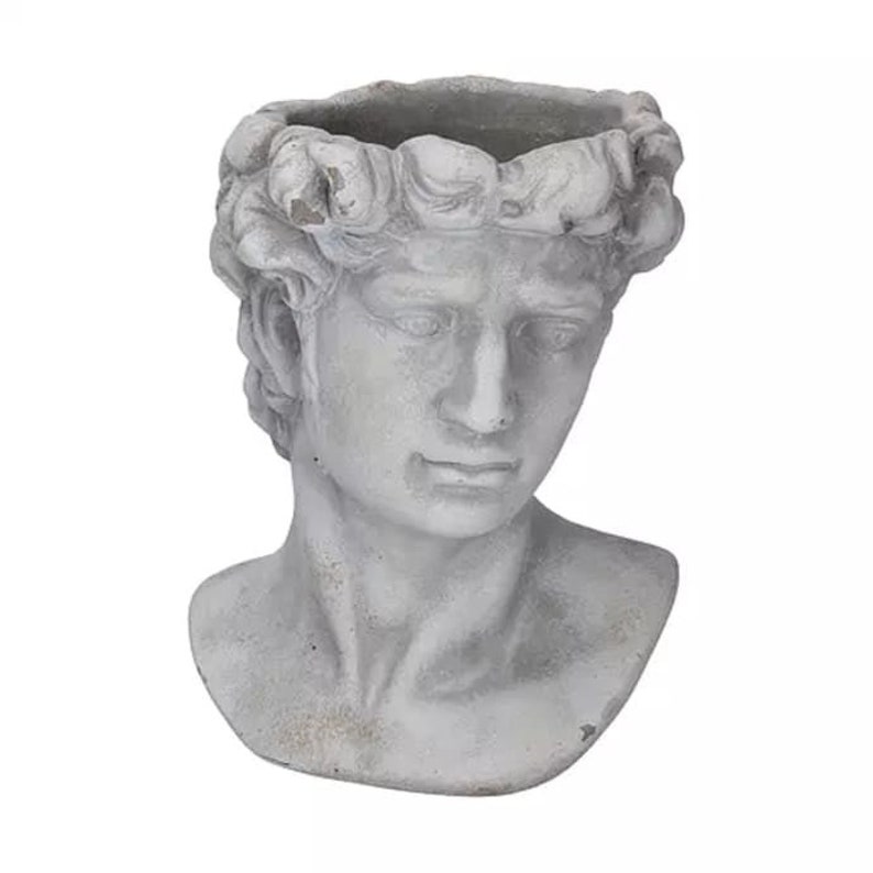 David Head Planter Male Bust Planter Head Plant Pot Etsy UK