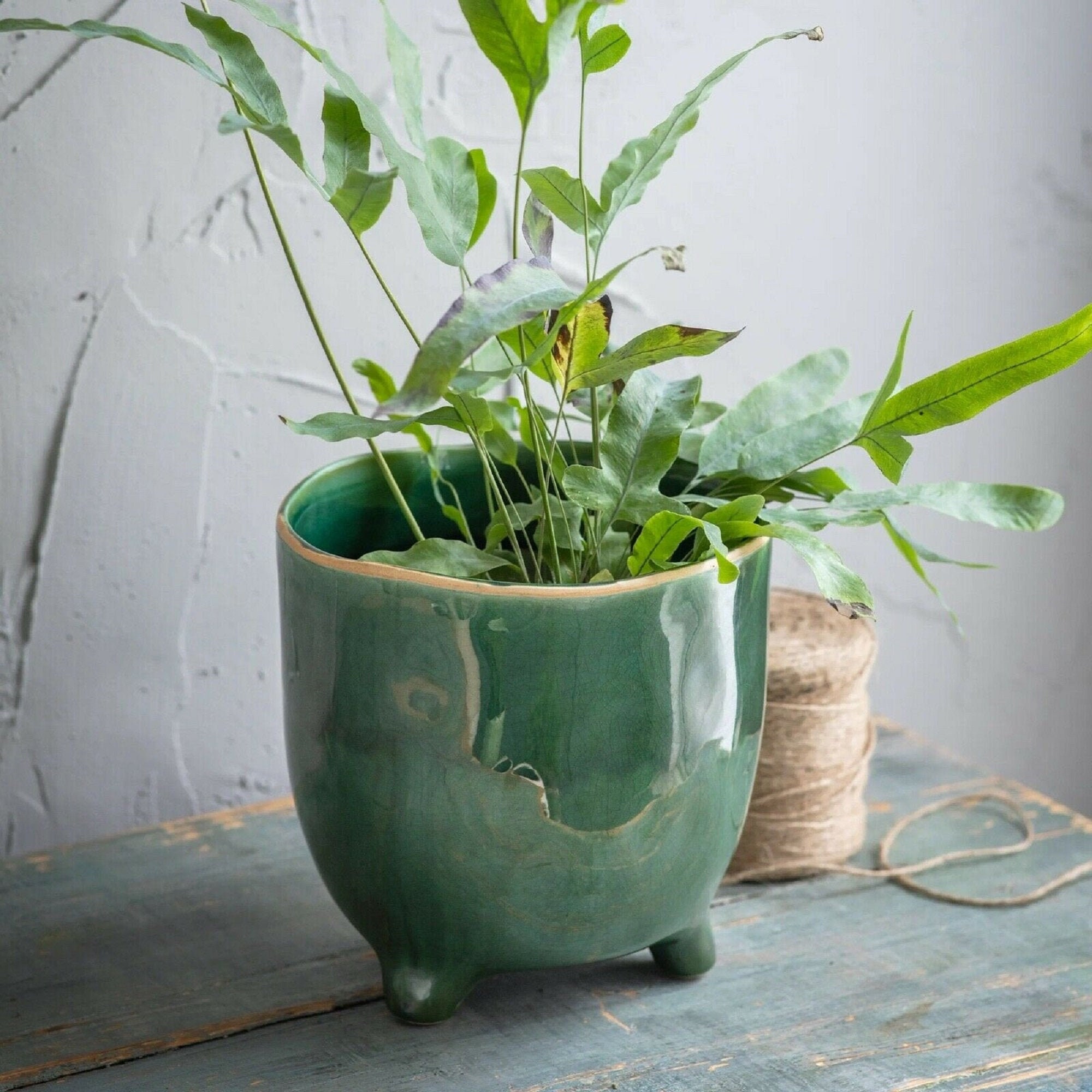 Forest Green Crackle Glaze Plant Pot with feet Positano Etsy