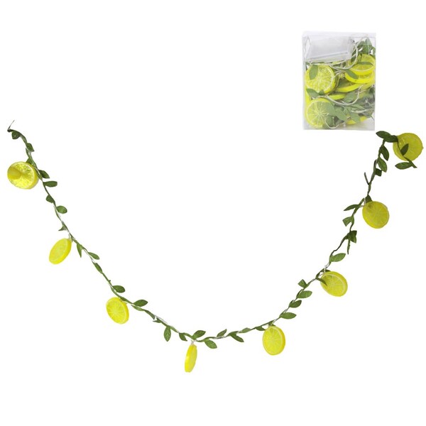 Indoor String Light Etsy