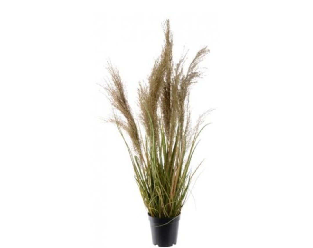 Realistic Artificial Potted Grass Plant With Plumes 65cm Etsy UK