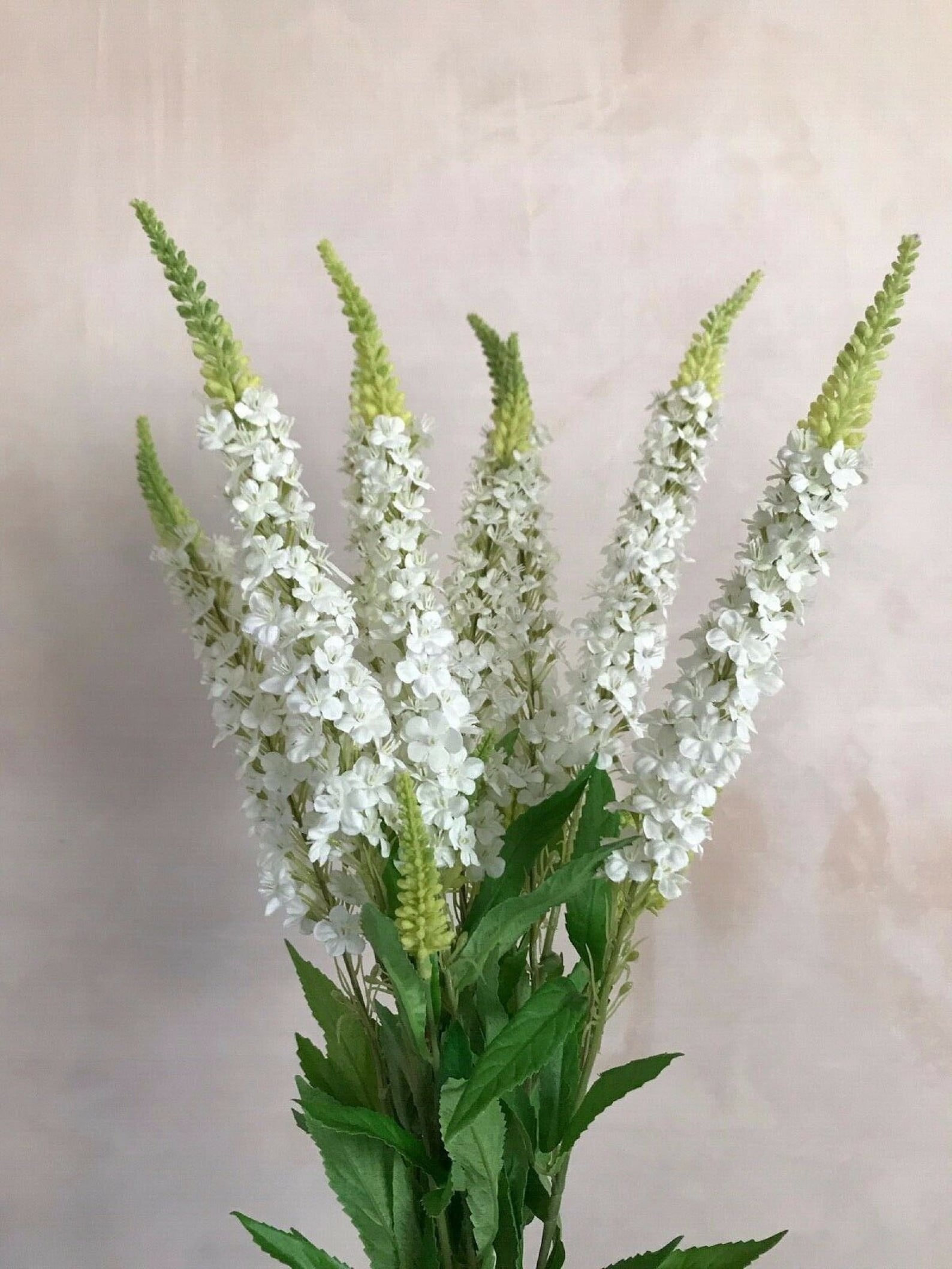 Artificial Flower White Veronica Amelia Stem Tall Etsy UK