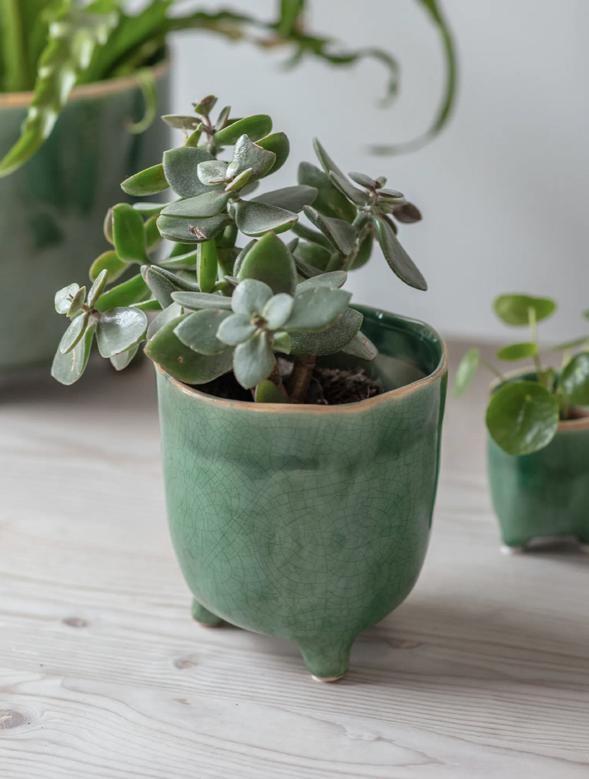 Forest Green Crackle Glaze Plant Pot with feet Positano Etsy