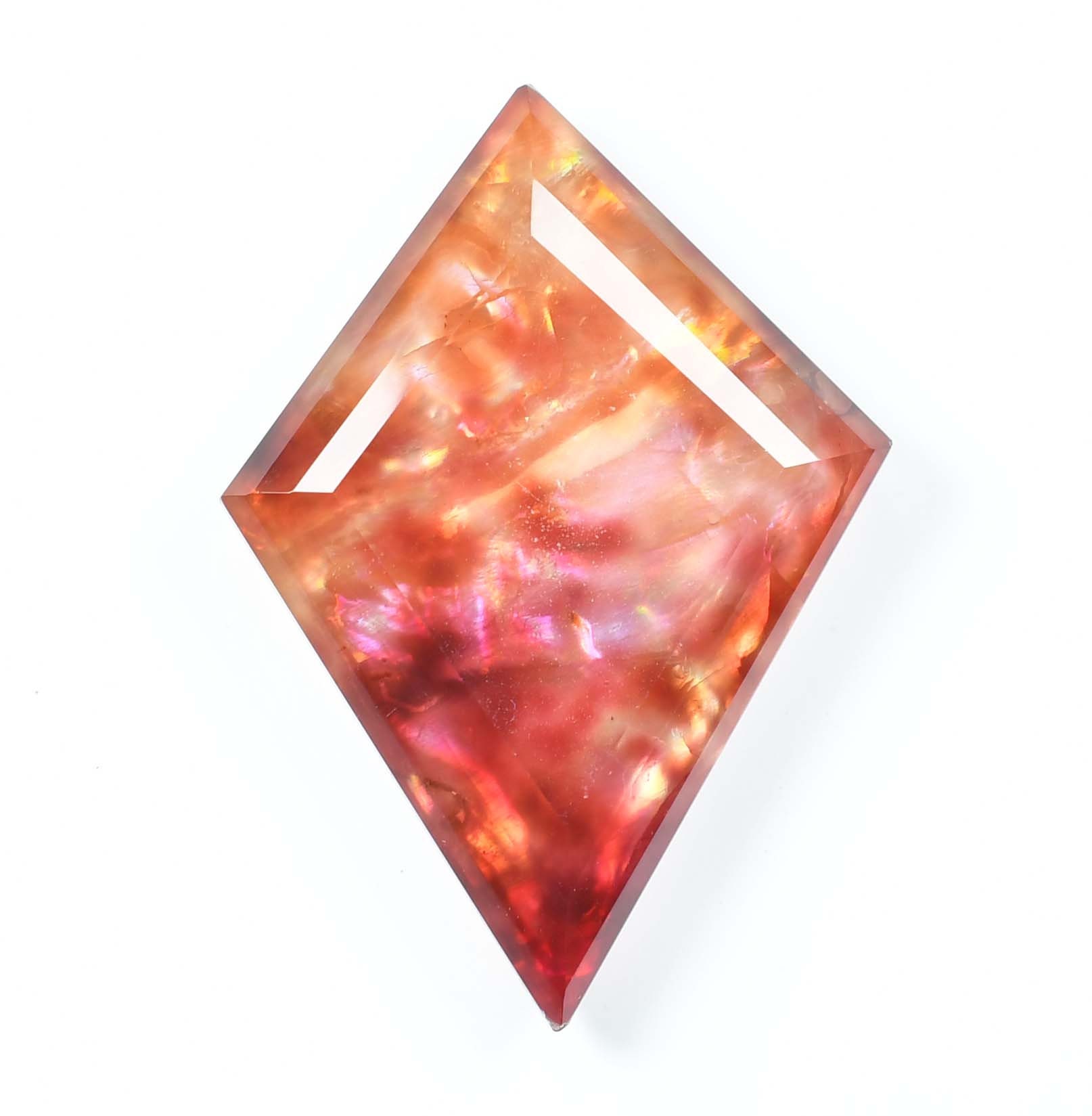 巨大な 30.00 カラットの天然アンモライト オパールのような有機貴石  