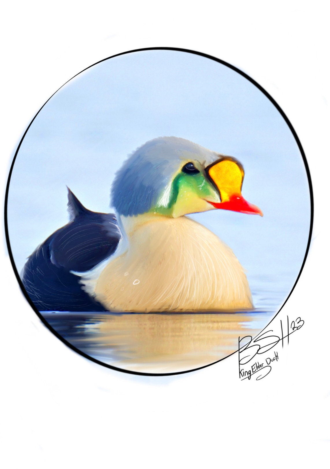 King Elder Duck Artwork Print 4x6 Inches Etsy