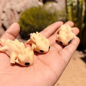 3D printed mini Chei/ Horned Toad Magnets