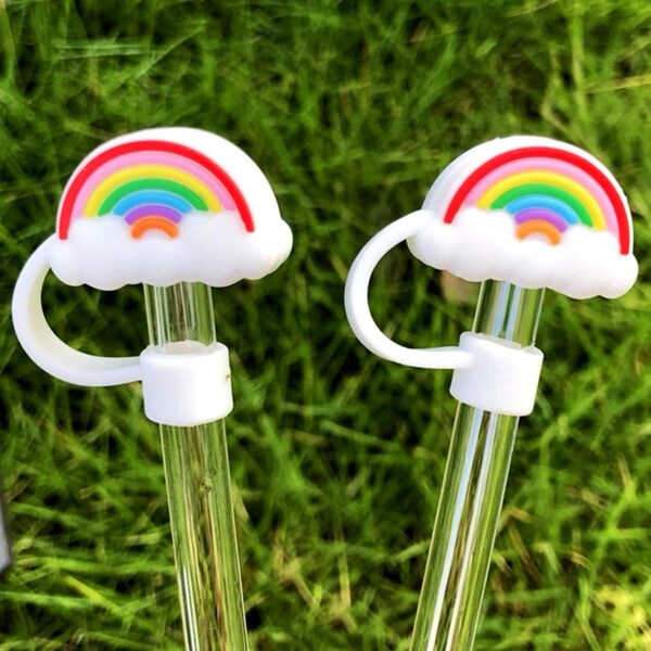 Stanley Straw Cover Rainbow Etsy