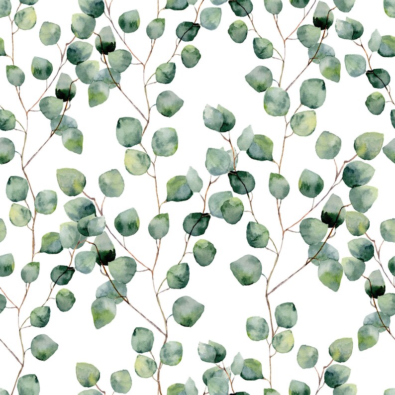 Removable Wallpaper Eucalyptus Mural Wallpaper Botanical Green Etsy